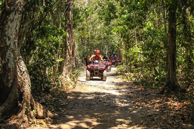 Cozumel ATV Tour & Beach Break - How pickup and meeting points work (especially on cruise days)