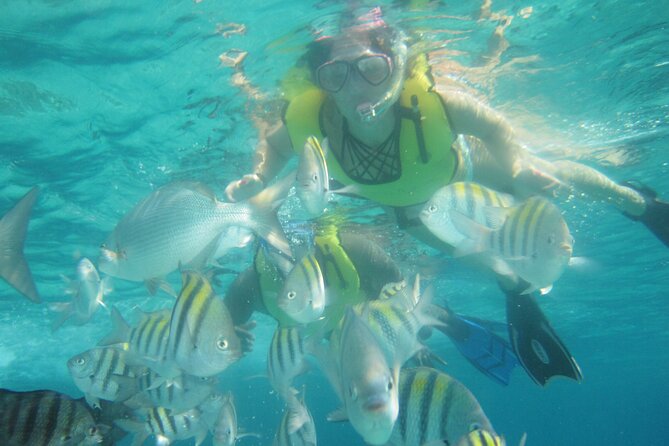 Cozumel Beach + Snorkeling Time - Shore snorkeling at Dzul-Ha Reef from Sky Reef Beach