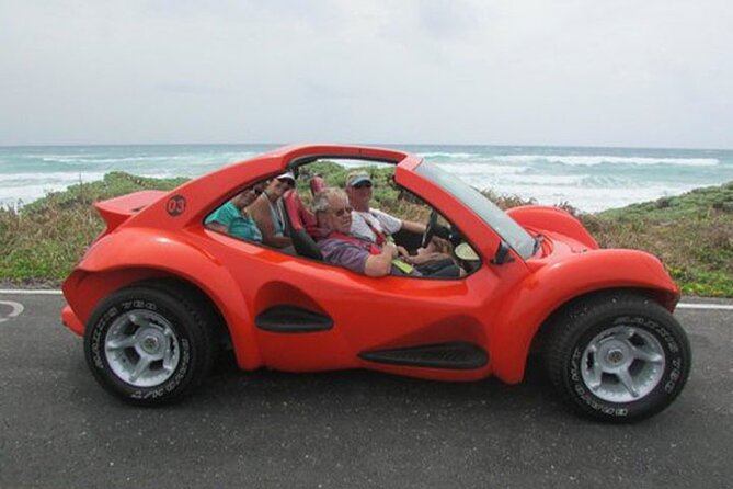 Cozumel Buggy Island Tour, Otoch Mayan Experience & Clear Boat - Price and Time Management for Cruise Days