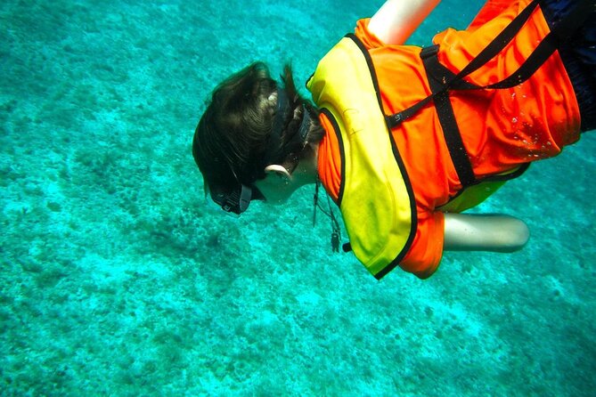Cozumel Buggy Tour: Snorkeling , Otoch Mayan Experience & Lunch - Playa San Martin Lunch Break: Local Beach Vibes Without the Fancy Detours