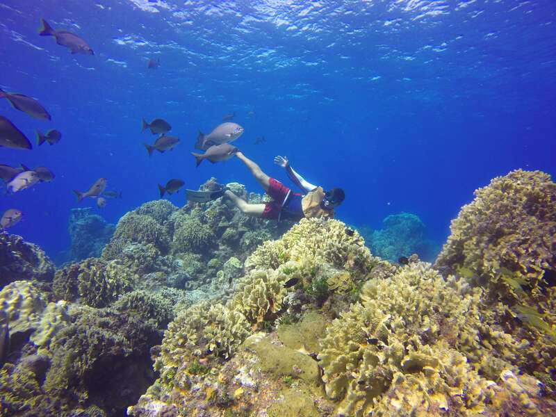 Cozumel: Catamaran, El Cielo Bay & Palancar Reef with Lunch - FAQ