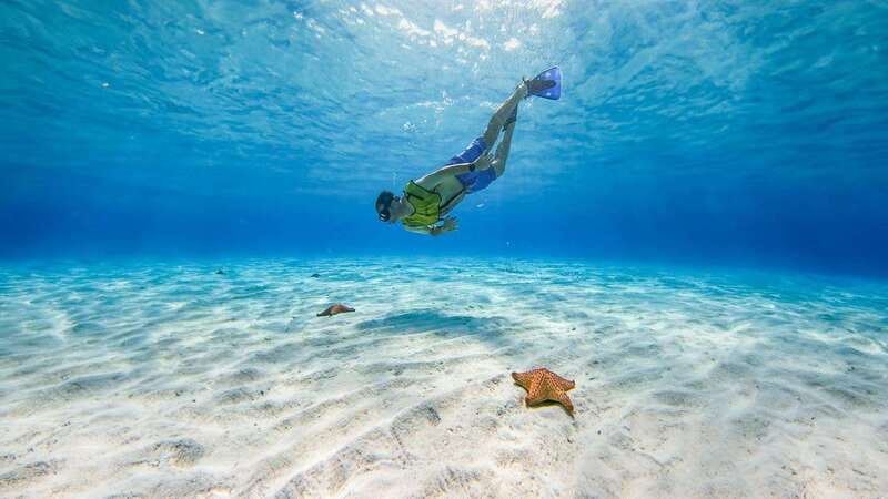 Cozumel: Catamaran, El Cielo Bay & Palancar Reef with Lunch - A 6-hour catamaran day that actually feels like a day