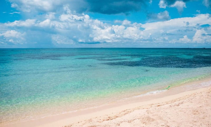 Cozumel: Catamaran, El Cielo Bay & Palancar Reef with Lunch - Should you book this Cozumel catamaran, El Cielo, and Palancar trip?