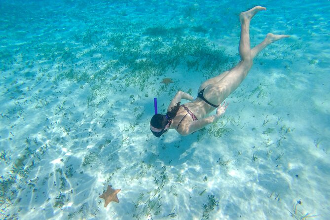 Cozumel Catamaran Snorkeling Tour & lunch® - El Cielito sandbar: the calm-water payoff
