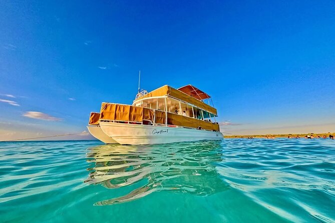 Cozumel Catamaran Tour: Snorkel at Top Reefs & Open Bar - Onboard vibe on a double-deck catamaran (and how it affects snorkeling)