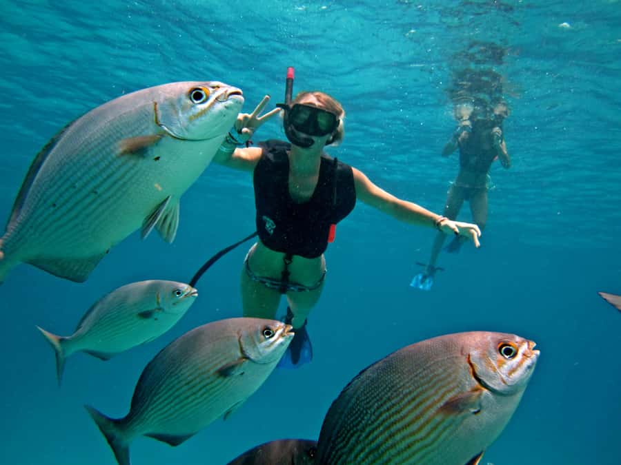Cozumel: Chankanaab Park Admission+ Snorkel+ Welcome drink - Key Highlights You’ll Actually Care About