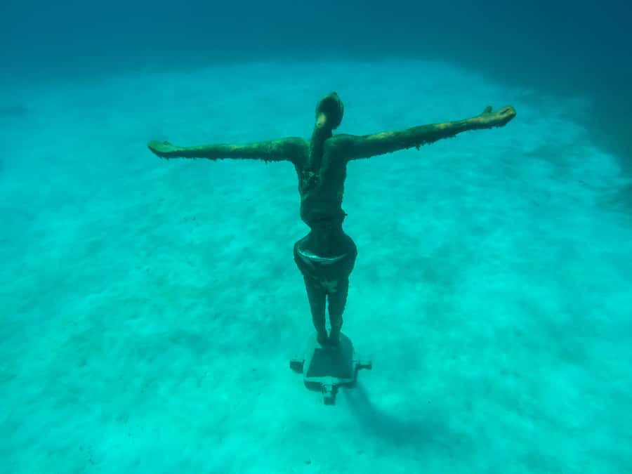 Cozumel: Chankanaab Park Admission+ Snorkel+ Welcome drink - Guided snorkeling: reef time with less guesswork