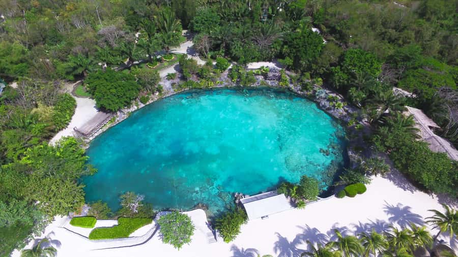 Cozumel: Chankanaab Park Admission+ Snorkel+ Welcome drink - Sea lion show as your built-in break