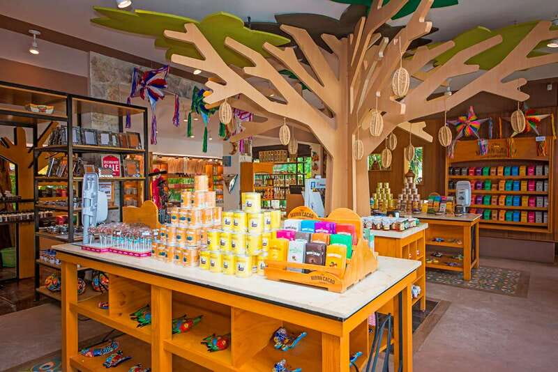 Cozumel: Chocolate Workshop at The Mayan Cacao Company - Who Should Book This Workshop (And Who Might Not)
