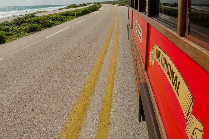Cozumel City Tour By Trolley - Stop 1: Downtown Cozumel and Photo Spots That Save Your Day