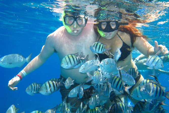 Cozumel Coral Reef Snorkeling by Glass Bottom Boat with Guide - Price and Value: $35 Plus the $11 Cash Fee