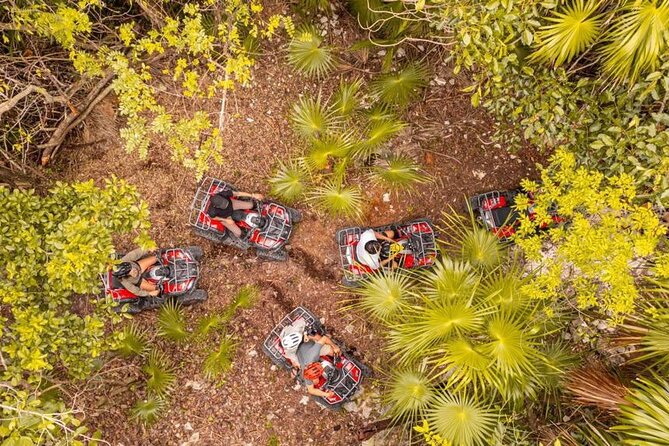 Cozumel: Discover Hidden Gems w/ Private guide - Price: $199 for Up to Four and What You’re Really Buying