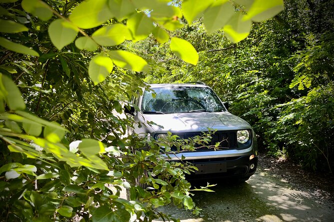 Cozumel: Discover Hidden Gems w/ Private guide - Tierra Maya Sanctuary: The Cultural Stop That’s Actually Included