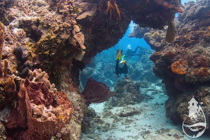 Cozumel: Discover Scuba Diving - Why Cozumel is such a good place for a first scuba session