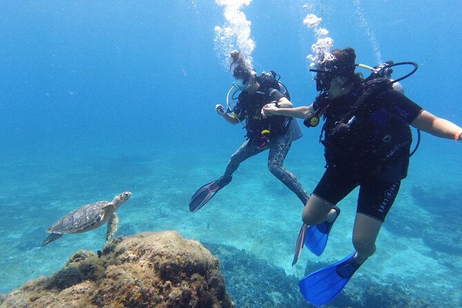 Cozumel: Discover Scuba Diving - How the two reef visits work inside the national marine park