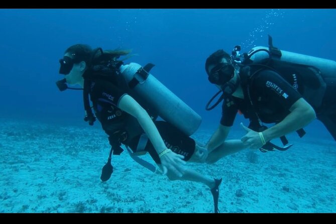 Cozumel: Discover Scuba Diving - Training at the start: what you actually do before going underwater