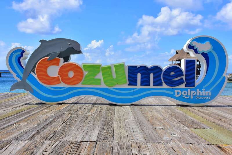 Cozumel: Dolphin Royal Connection and Manatee Interaction - Key highlights at a glance