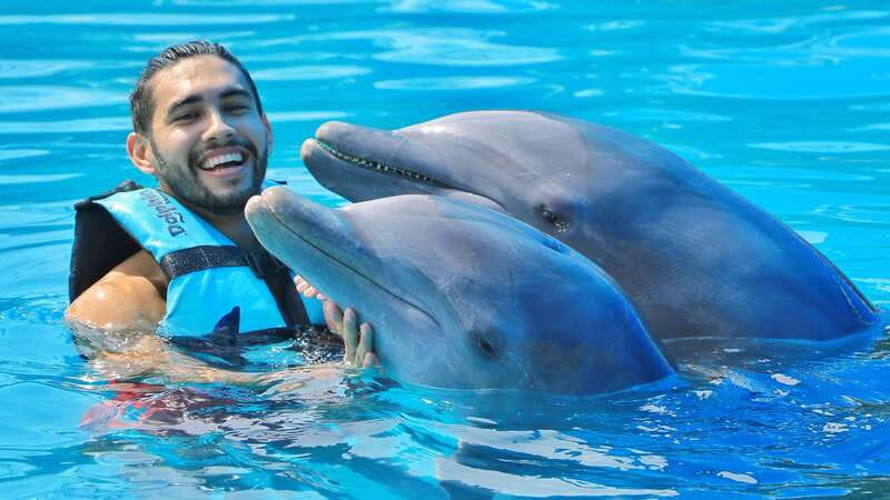 Cozumel: Dolphin Royal Connection and Manatee Interaction - Royal Swim in Cozumel: 40 minutes with two dolphins