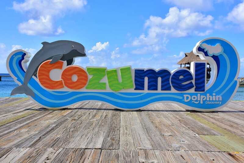 Cozumel: Dolphin Royal Connection and Manatee Interaction - VIP area lunch and open bar: the payoff after the water