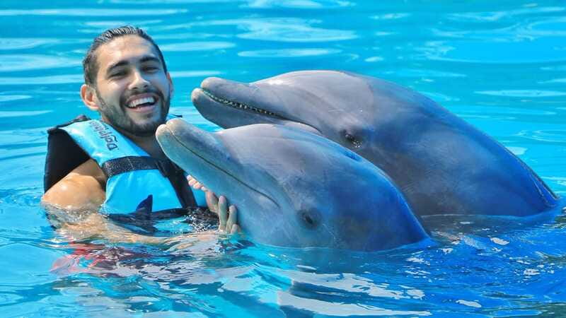 Cozumel: Dolphin Royal Connection and Manatee Interaction - Rules that can change your day: height, cameras, sunscreen, and more