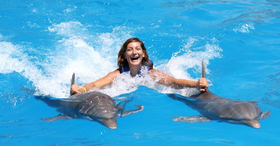 Cozumel: Dolphin Royal Connection and Manatee Interaction - Small group dynamics: better attention, but quality can vary