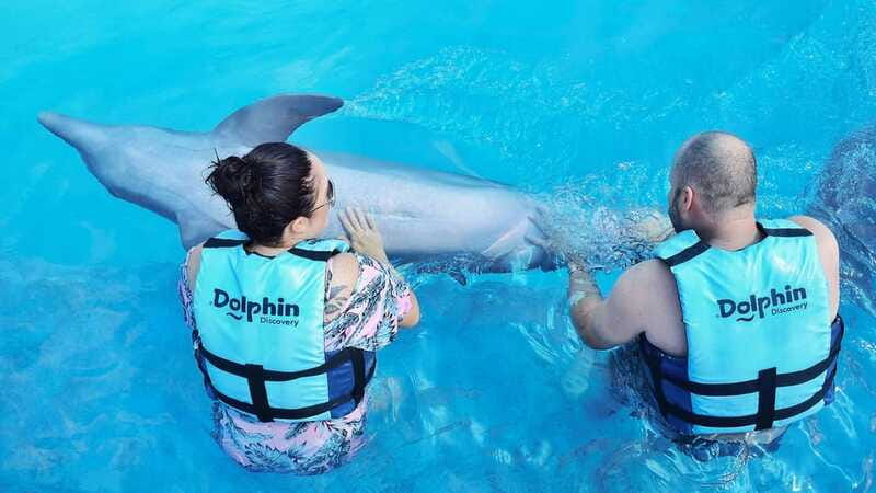 Cozumel: Dolphin Royal Connection and Manatee Interaction - Who should book this Cozumel dolphin and manatee program?