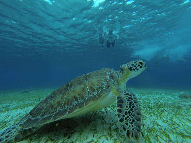 Cozumel, El Cielo: 4-Hour Private Tour - How the “Up to Three Reefs” Option Works in Real Life