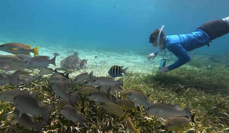 Cozumel, El Cielo: 4-Hour Private Tour - Food and Drinks On Board: More Than Just a Snack