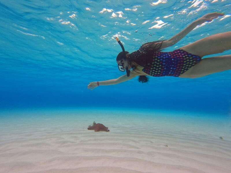 Cozumel, El Cielo: 4-Hour Private Tour - Price and Value: Is $641 for a Private Group a Good Deal?