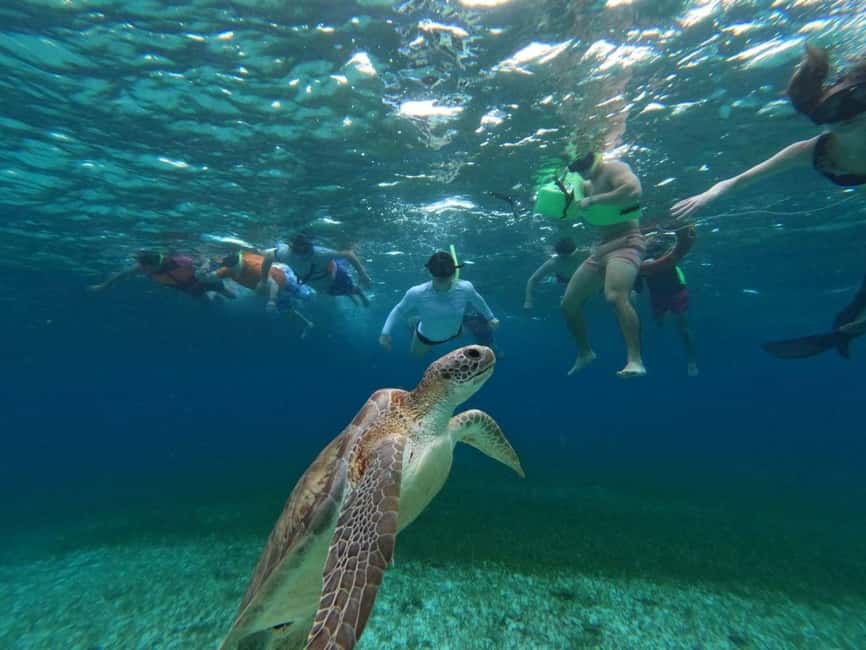 Cozumel, El Cielo: 4-Hour Shared Snorkeling Tour - Key things to know before you go
