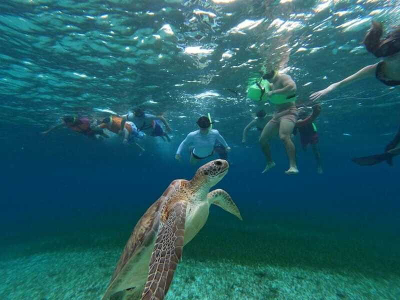 Cozumel, El Cielo: 4-Hour Shared Snorkeling Tour - Should you book El Mayor’s shared snorkeling tour?