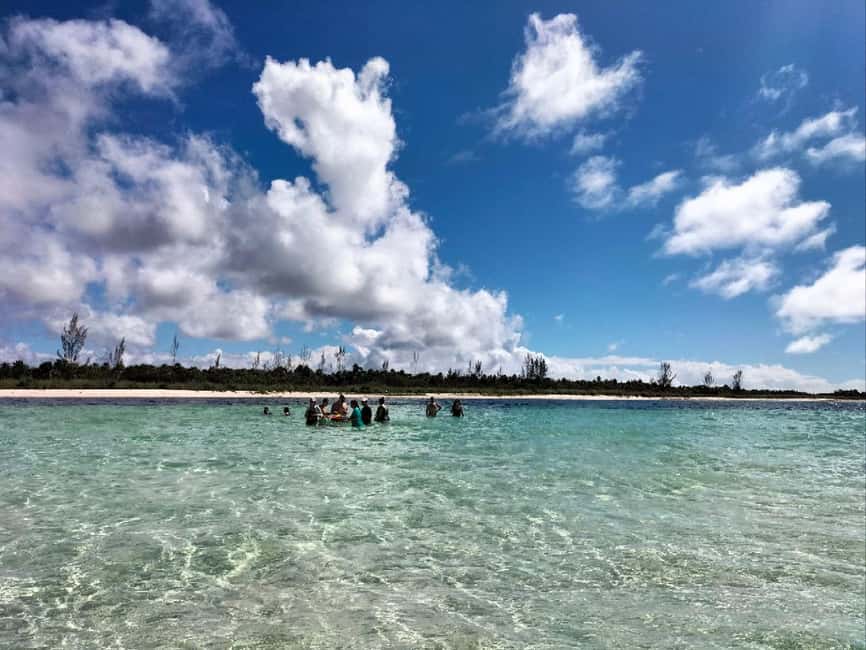 Cozumel, El Cielo: 4-Hour Shared Snorkeling Tour - Who this tour fits best (and who might want a different option)