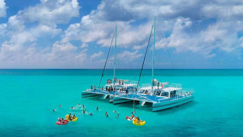 Cozumel: El Cielo, Palancar Reef, and Beach Party with Food - What wildlife sightings can look like (and what to expect on different days)