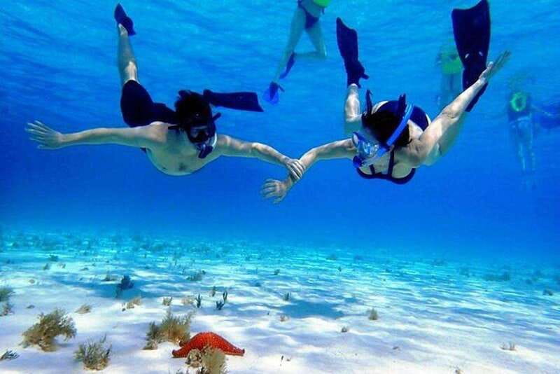 Cozumel El Cielo Sandbar and Reef Snorkeling Tour - Why El Cielo + Cozumel Reefs Makes Sense for 5 Hours