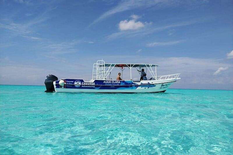 Cozumel El Cielo Sandbar and Reef Snorkeling Tour - Colombia Reef: Crystal Water and Up-Close Marine Life