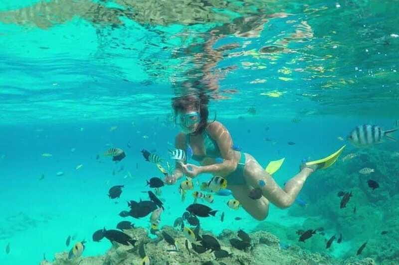 Cozumel El Cielo Sandbar and Reef Snorkeling Tour - Price and Value: What $189 Gets You Here