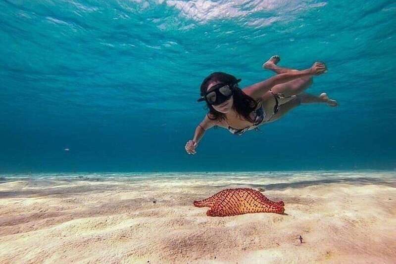 Cozumel: Glass-bottom Boat Snorkeling Adventure - Colombia Reef: Your First Snorkel Stop and What to Look For