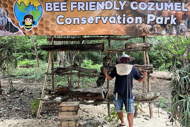 Cozumel: Hands-On Chocolate, Tortilla, Salsa & Honey Experience - Key highlights you can plan around