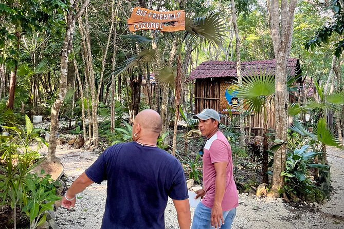 Cozumel: Hands-On Chocolate, Tortilla, Salsa & Honey Experience - Private Cozumel workshop at Tierra Maya: hands-on food, not a museum stop