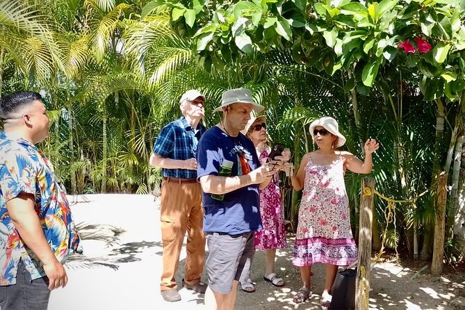 Cozumel: Hands-On Chocolate, Tortilla, Salsa & Honey Experience - Price and value for a group of up to four