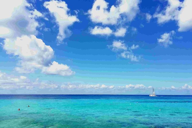 Cozumel Island Tour: Mayan Ruins, Reefs, and Beach Escape - Quick Takeaways