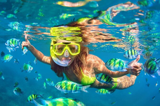 Cozumel Island Tour: Mayan Ruins, Reefs, and Beach Escape - San Gervasio Ruins: Ixchel, Pilgrimage, and What You’ll Actually See