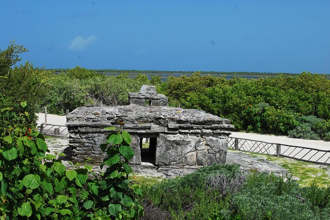Cozumel Jeep and Snorkel Adventure with Lunch at Punta Sur Park - Who Should Book This (and Who Might Want a Softer Day)