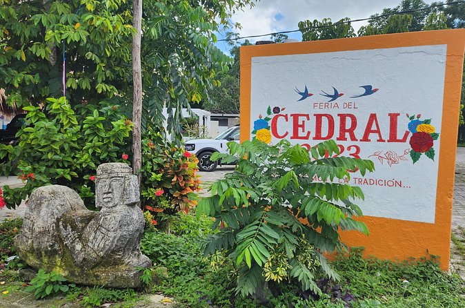 Cozumel Jungle ATV Tour Adventure and Caverns with transfer - The ATV ride reality: short dirt-road loop, keep your expectations flexible