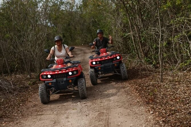 Cozumel Jungle ATV Tour Adventure and Caverns with transfer - Who should book this Cozumel ATV and caverns tour?