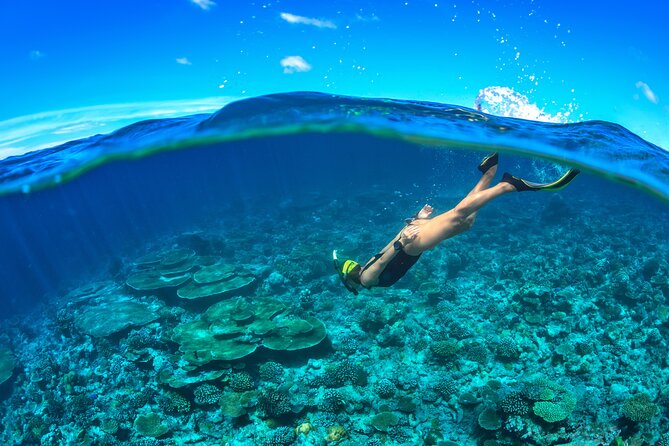 Cozumel Luxury Sailing & Snorkeling Cruise Experience - Cruising the Cozumel Coast: Lunch, Drinks, and a More Relaxed Pace