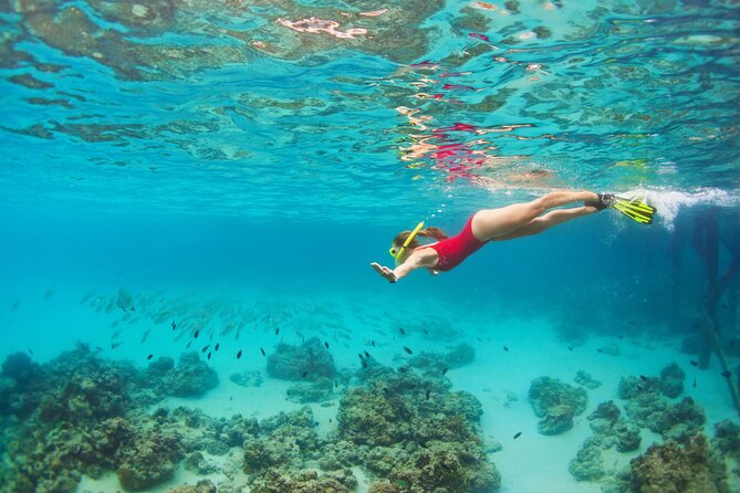 Cozumel Luxury Sailing & Snorkeling Cruise Experience - Things That Can Affect Your Day: Weather and Timing Stress