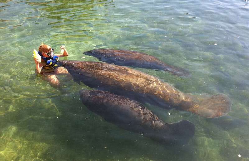 Cozumel: Manatee Encounter, Chankanaab Admission and Buffet - The no-camera rule and how it affects your photo budget