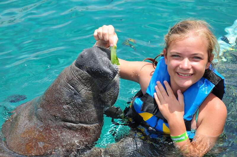 Cozumel: Manatee Encounter, Chankanaab Admission and Buffet - Snorkeling and gear: fun, but gear is on you
