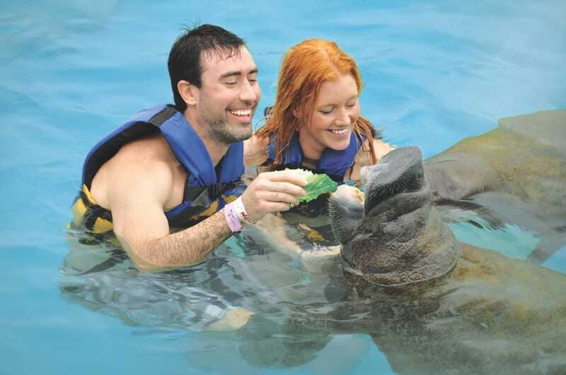Cozumel: Manatee Encounter, Chankanaab Admission and Buffet - Should you book the Cozumel Manatee Encounter plus Chankanaab?